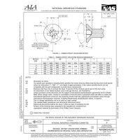 AIA NASM14191