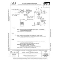 AIA NASM21387