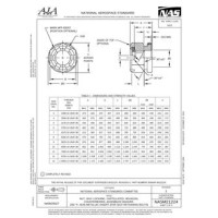 AIA NASM21224