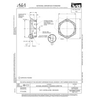 AIA NASM21025