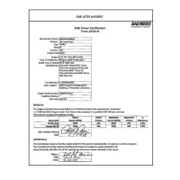 SAE CPGM1_10CHTYAS