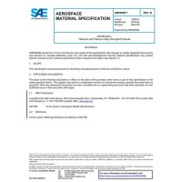 SAE AMS2809B