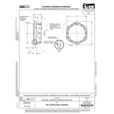 AIA NASM21025