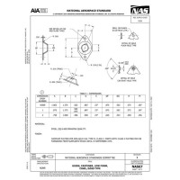 AIA NAS67