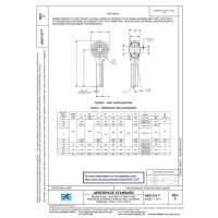 SAE AS21151F