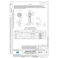 SAE AS21153F