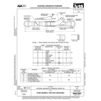 AIA NAS1383