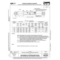 AIA NAS1691