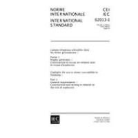 IEC 62013-1 Ed. 1.0 b:1999